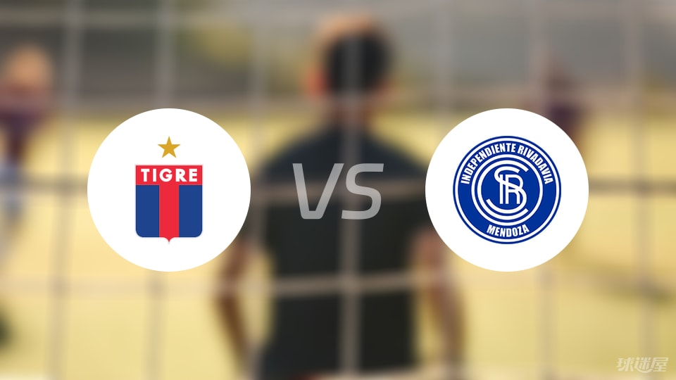 堤格雷vs门多萨独立比赛结果